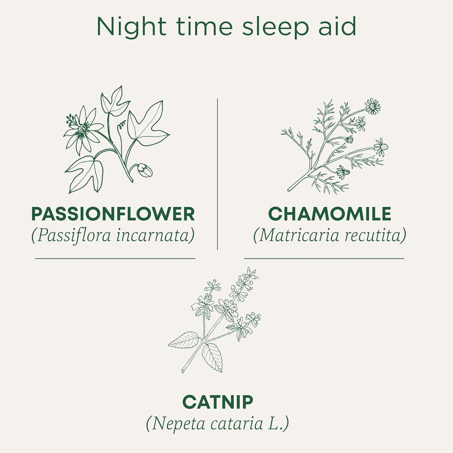 Organic Nighty Night Herbal Tea (Pack of 1) - Natural Sleep Aid containing Passionflower and Chamomile - 16 Tea Bags Total