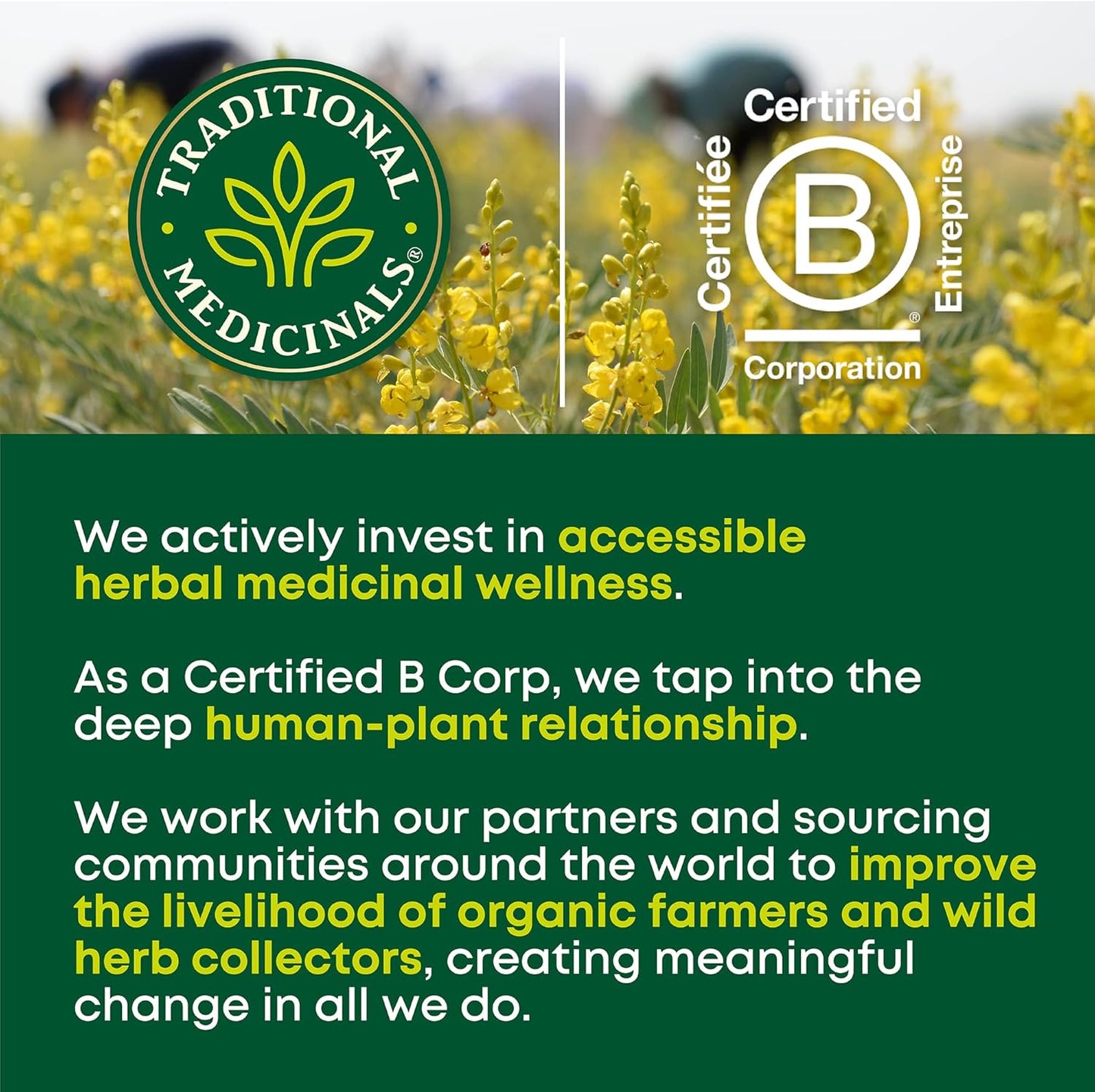 Traditional Medicinals Organic Peppermint Herbal Tea – Senna & Fennel Blend