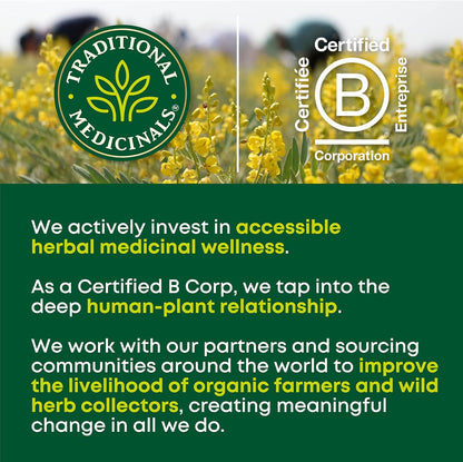 Traditional Medicinals Organic Peppermint Herbal Tea – Senna & Fennel Blend